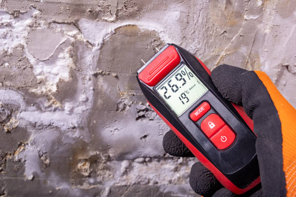 Attic Mold Removal in Spring Lake, NJ